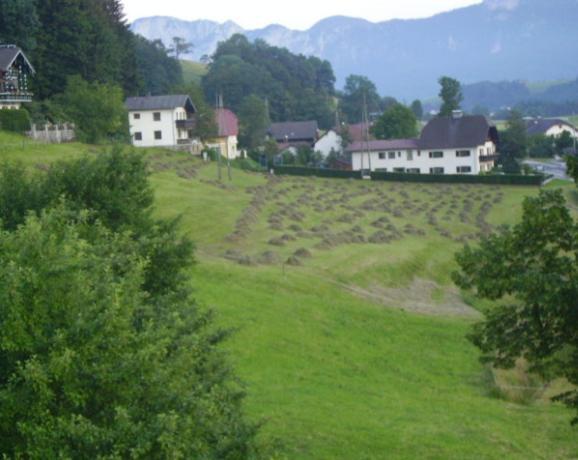 Bauernhof Kasleitner Villa Зел ам Мос Екстериор снимка
