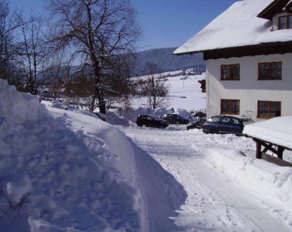 Bauernhof Kasleitner Villa Зел ам Мос Екстериор снимка