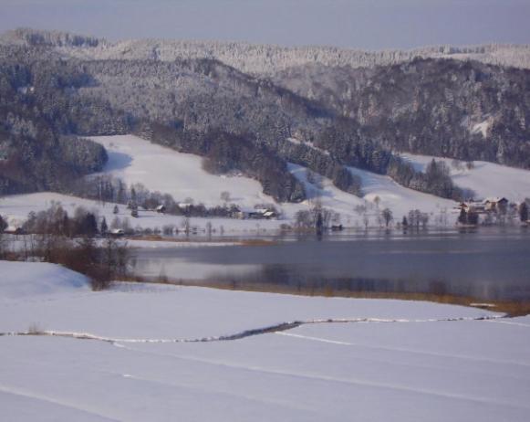 Bauernhof Kasleitner Villa Зел ам Мос Екстериор снимка