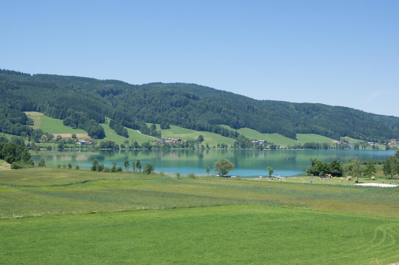 Bauernhof Kasleitner Villa Зел ам Мос Екстериор снимка
