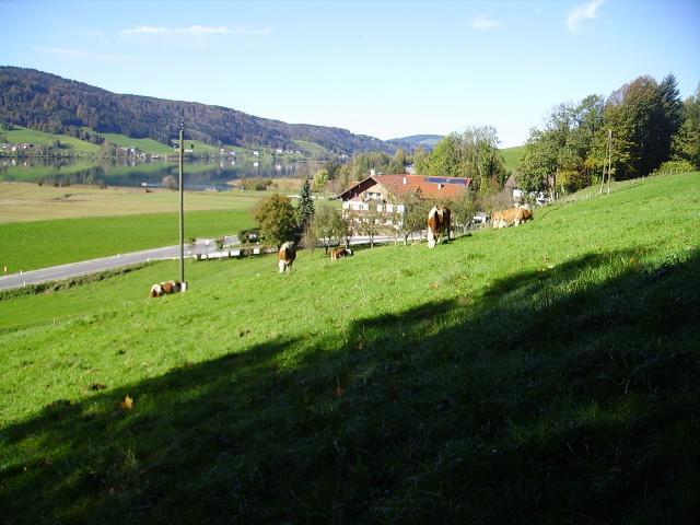 Bauernhof Kasleitner Villa Зел ам Мос Екстериор снимка